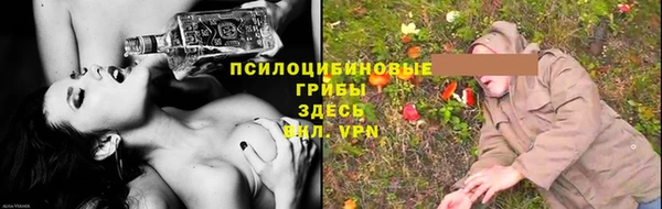 гидра Иннополис
