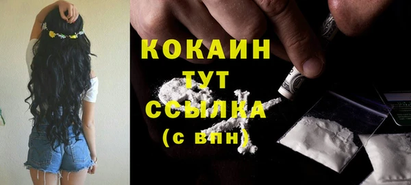 СК Инта