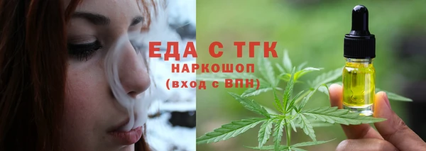 СК Инта