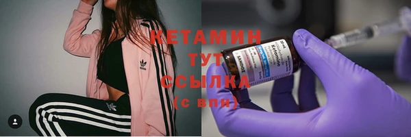 СК Инта